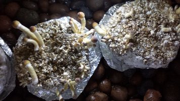 20160322_220631.jpg