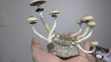 20160329_184054.jpg