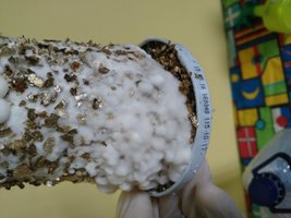 20160411_160436.jpeg