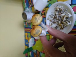 20160411_181214.jpeg