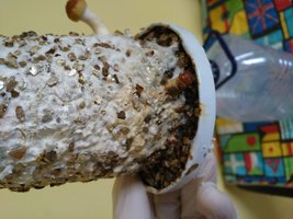 20160411_160252.jpeg