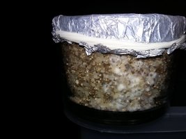 20160416_094506[1].jpg