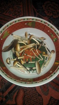 IMG-20160412-WA0013.jpe