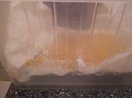 20160418_190127[1].jpg
