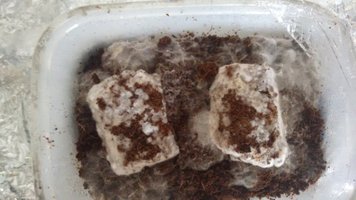 IMG_20160419_084700603.jpg