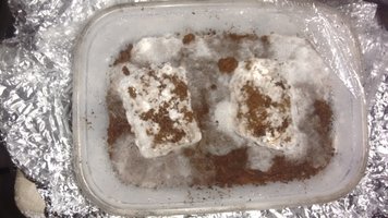IMG_20160419_084649414.jpg