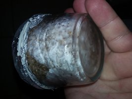 20160422_184843[1].jpg