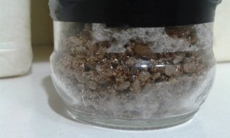 20160419_234017.jpg