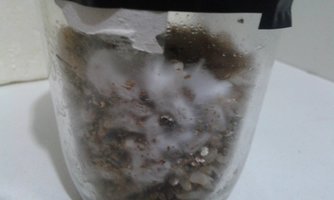 20160422_225247.jpg