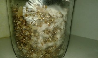 20160425_195231.jpg