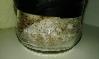 20160425_195257.jpg