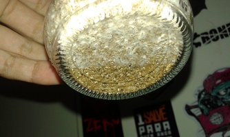 20160425_195316.jpg