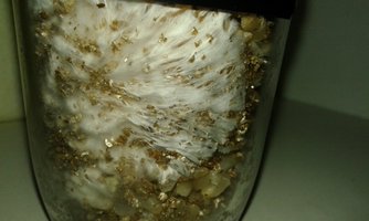 20160425_195339.jpg