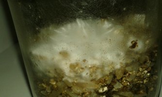 20160425_195429.jpg
