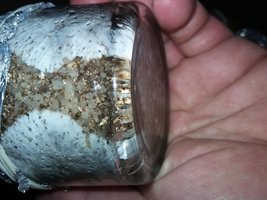 20160426_015037[1].jpg