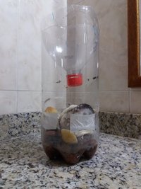 20160426_235026.jpg