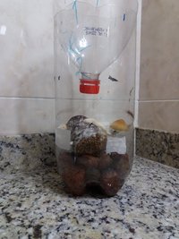 20160426_235050.jpg
