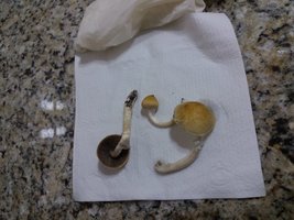 20160426_235320.jpg
