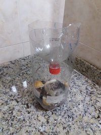 20160426_235041.jpg