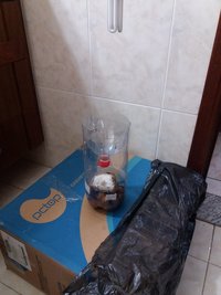 20160426_235337.jpg