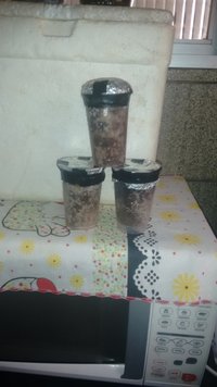IMG_20160428_091714474.jpg