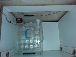 20160428_160254.jpg