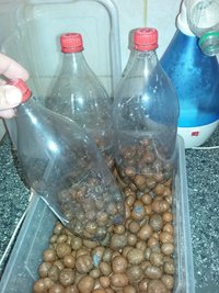 20160428_155907.jpg