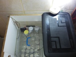 20160428_161616.jpg