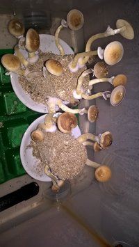 2016-04-29 14.00.53.jpg