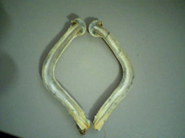 foto008.jpg