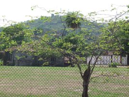 DSCF3593.JPG