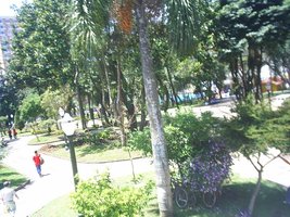 S301000908 (800x600).JPG