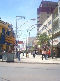 S3010013012 (800x1067).JPG
