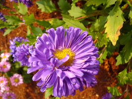 DSC00857.jpg