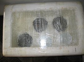 terrário vista superior.JPG