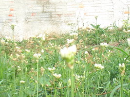Imagem 053.jpg