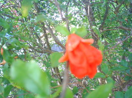 Imagem 058.jpg