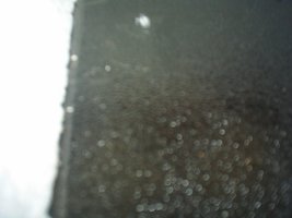 S3010157 (800 x 600).jpg