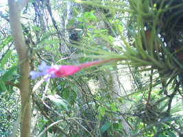 Imagem 034.jpg