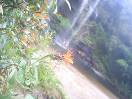 Imagem 012.jpg