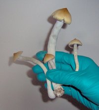 Im000573.jpg