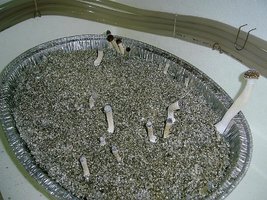 terceirofluxo.JPG