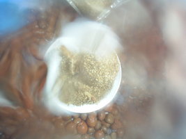 S3010004.JPG