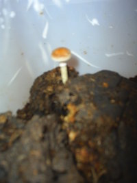 S3010001.JPG