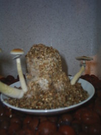 S3010010.JPG