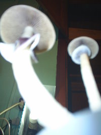S3010012.JPG