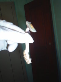 S3010019.JPG