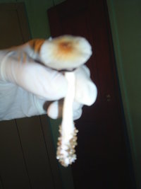 S3010020.JPG