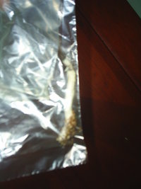 S3010023.JPG