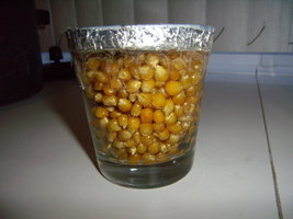 copo_03.JPG